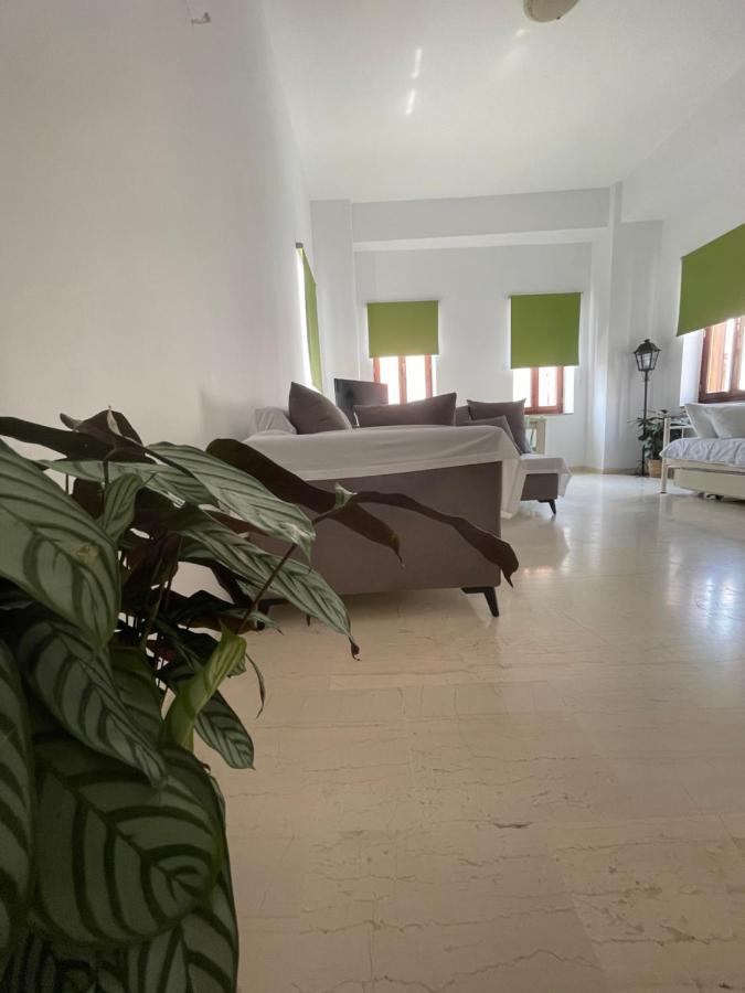 Aphaias Apartments Aegina Luaran gambar